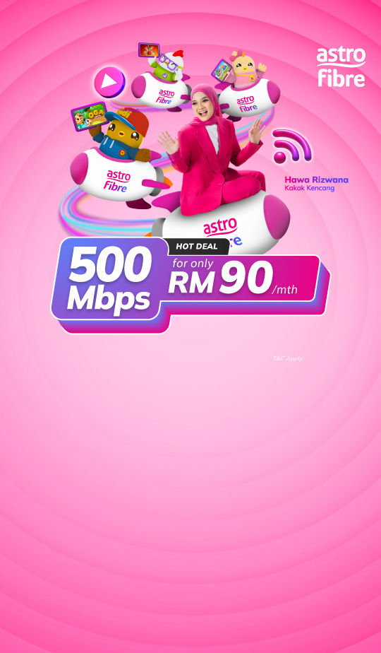 500Mbps*