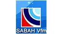 V FM logo