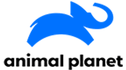 Animal Planet HD Astro Content