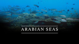 Arabian Seas S1 Ep01