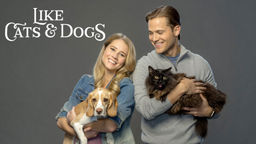 Like Cats & Dogs