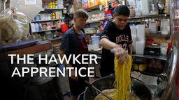 The Hawker Apprentice