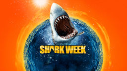 How to Survive a Shark Attack