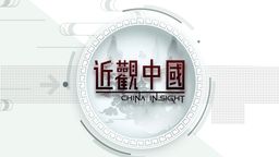 China Insight