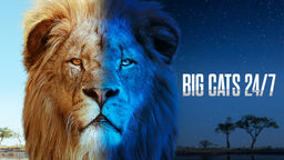 Big Cats 24/7 S1 Ep05
