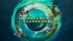 China's Wild Guangdong S1 Ep01