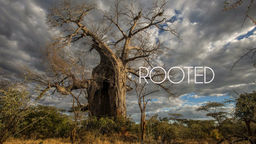 Rooted S1 Ep04