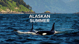 Alaskan Summer