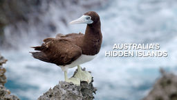 Australia's Hidden Islands S1 Ep04