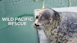 Wild Pacific Rescue S1 Ep01