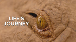Life's Journey S1 Ep01
