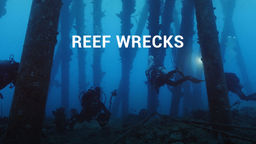Reef Wrecks S1 Ep03