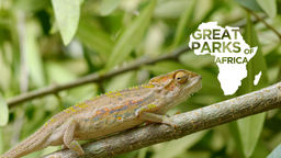 Great Parks of Africa S2 Ep01