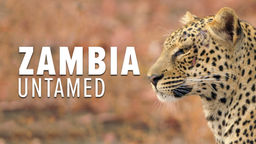 Zambia Untamed S1 Ep01