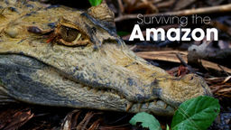 Surviving the Amazon S1 Ep01