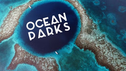 Ocean Parks S1 Ep04