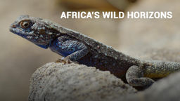 Africa's Wild Horizons S2 Ep01