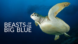 Beasts of the Big Blue S1 Ep05