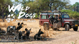 Wild Dogs: Pack Vs. Pride S2 Ep01