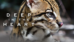 Deep in the Heart