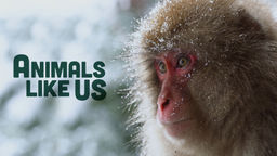 Animals Like Us S1 Ep04