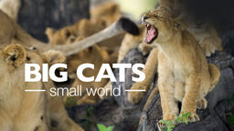 Big Cats, Small World S1 Ep02