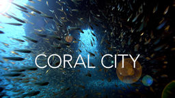 Coral City S1 Ep01