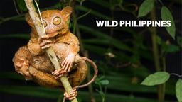 Wild Philippines S1 Ep01