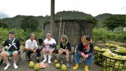 Champ Of Taiwan Farming Ep05