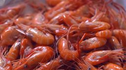 Eating in ShaoXing Ep04