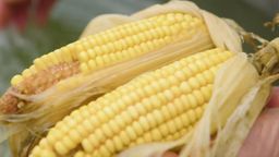 Sour, Salty & Alive Ep04