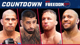 UFC Countdown: UFC Freedom 250