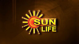 Veettukku Oru Pillai