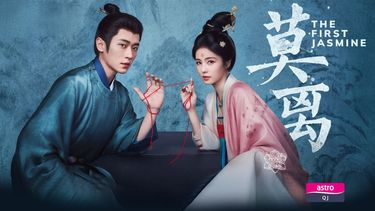 Starring leading stars Bai Lu and Cheng Lei, a revenge-driven noblewoman and her enigmatic prince husband unite against a cunning rival, their alliance slowly turning into something deeper.
