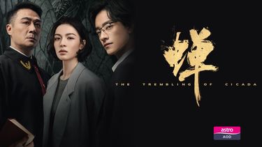 Ding Ning, Yu Song Fan and Zhao Yi Jie, three legal elites with troubled pasts, clash over complex criminal cases. As they navigate justice, revenge and moral grey areas, rivals become unlikely allies.