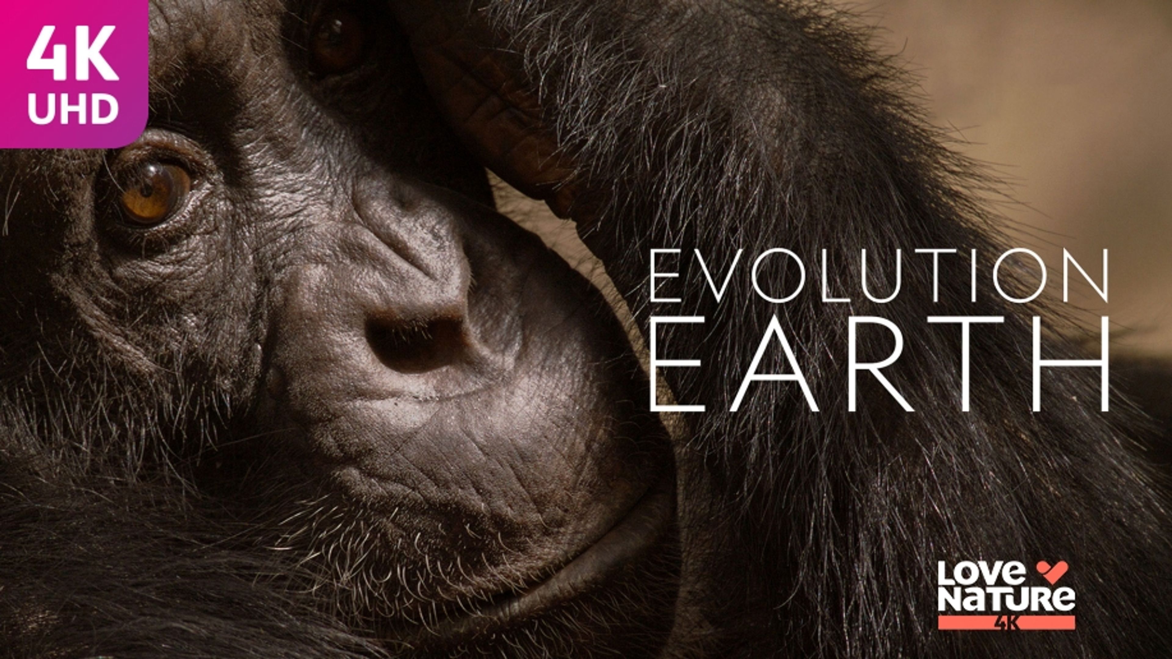 Evolution Earth