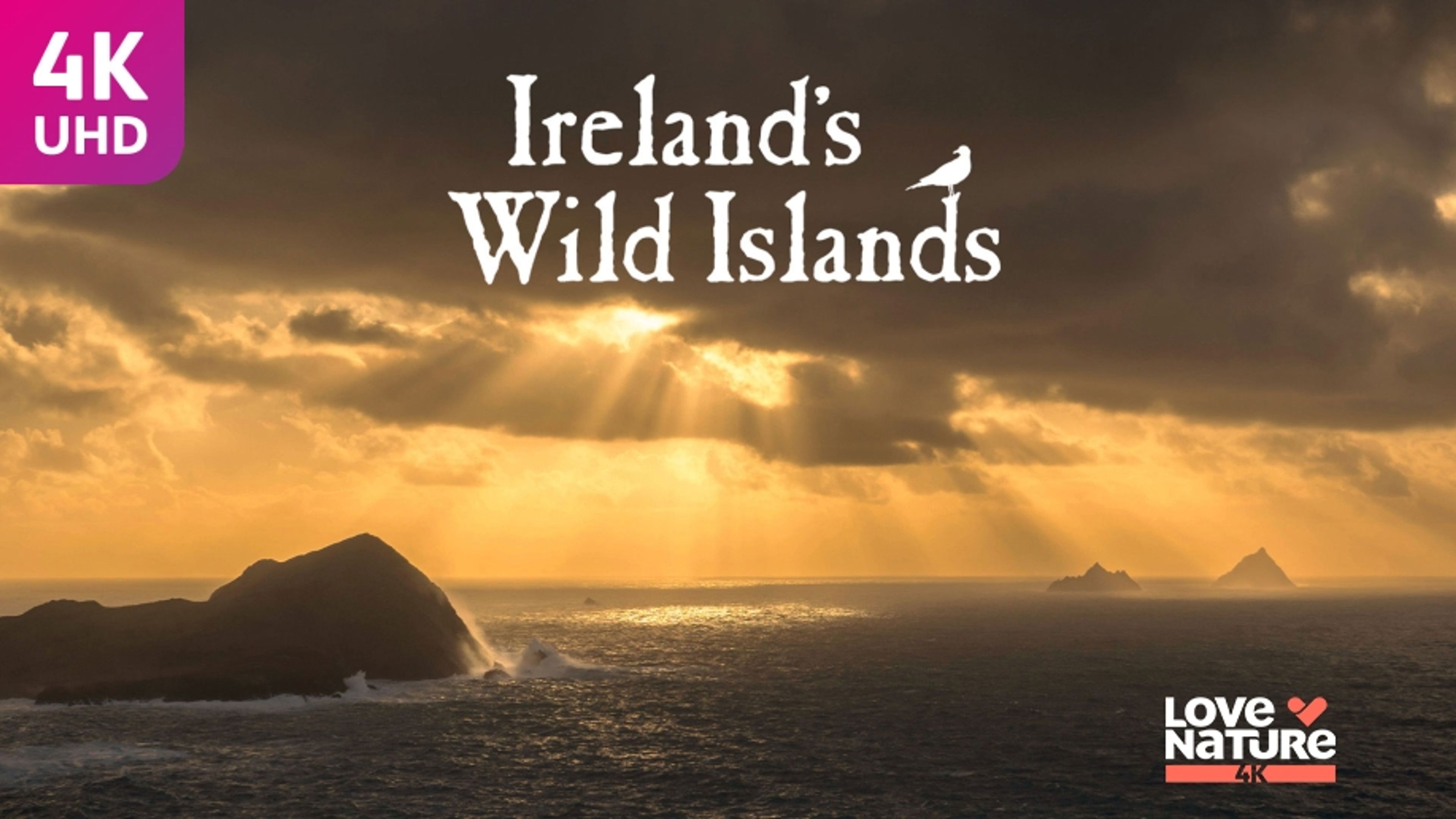 Ireland's Wild Islands