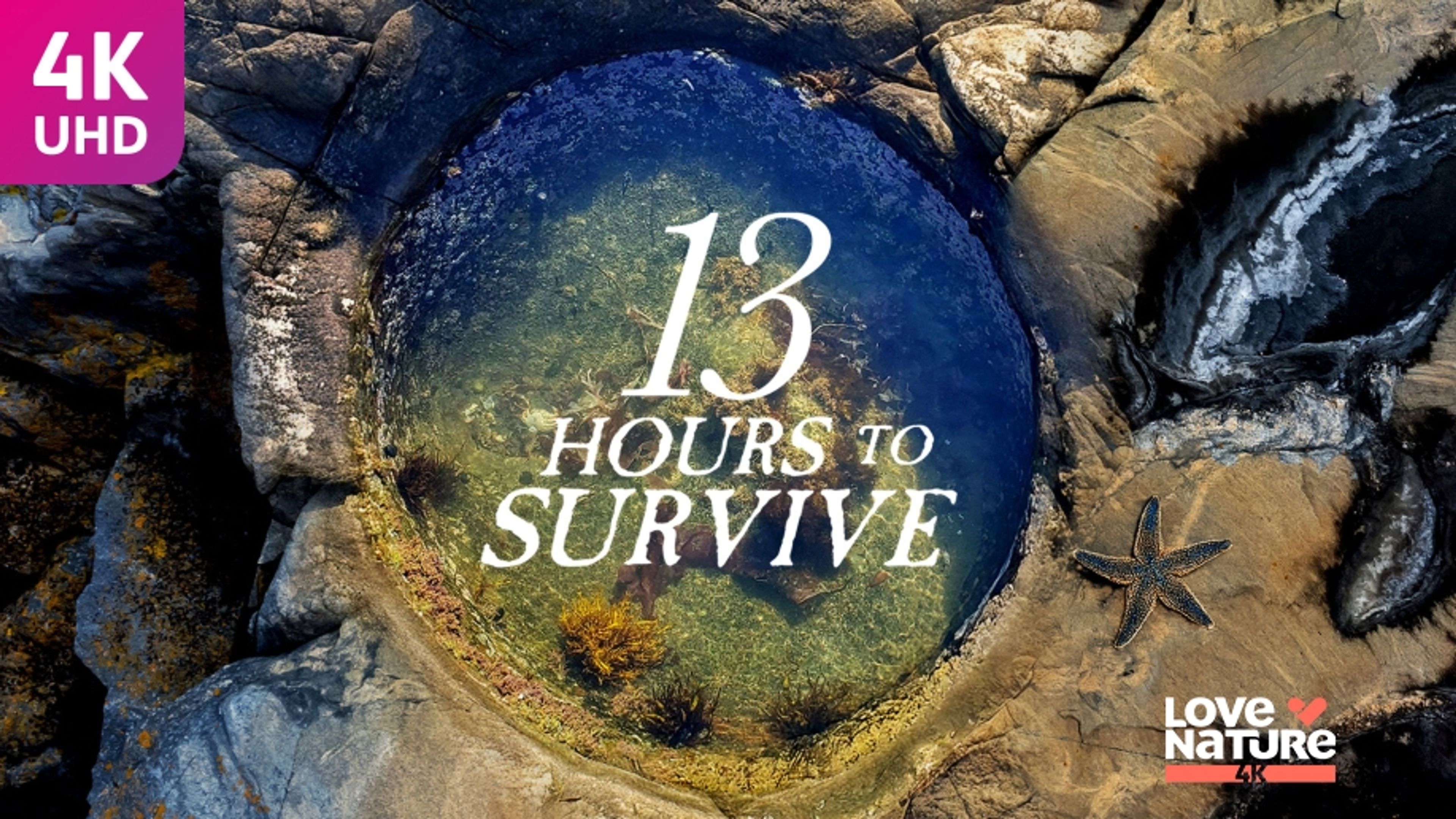 13 Hours to Survive