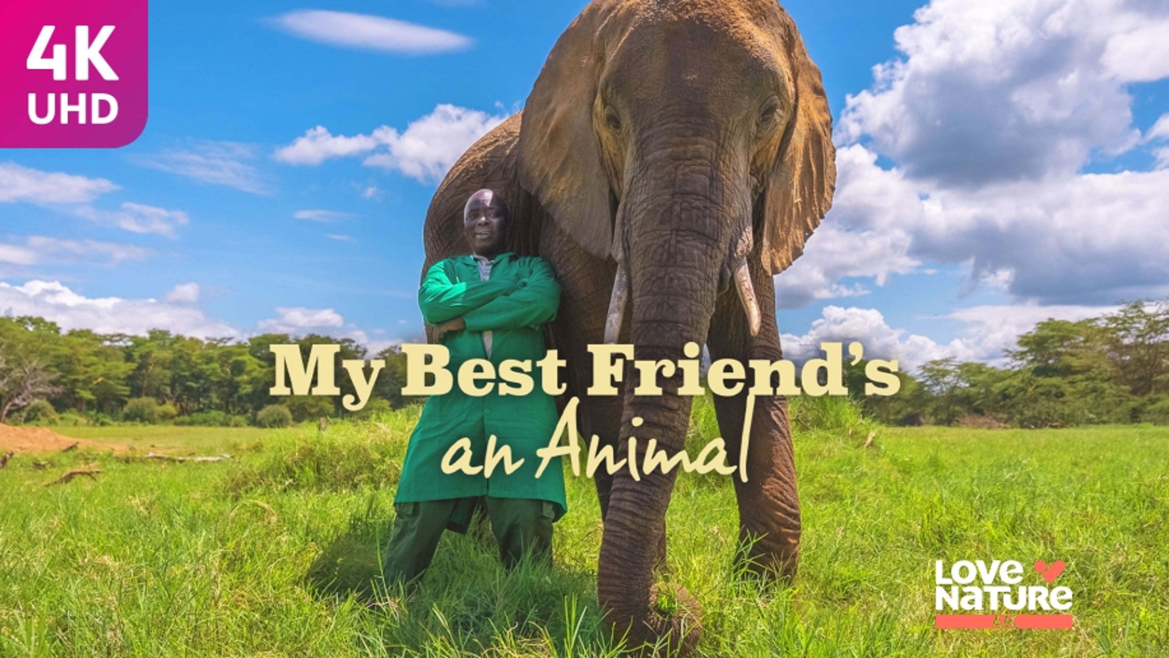 My Best Friend's An Animal