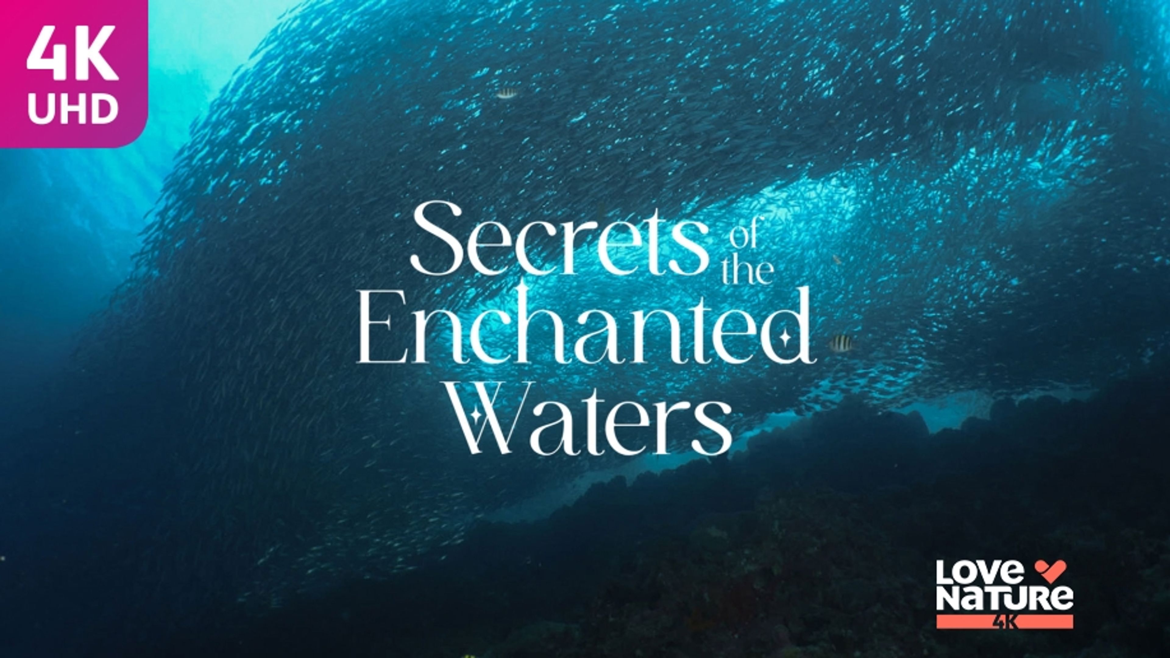 Secrets of the Enchanted Waters