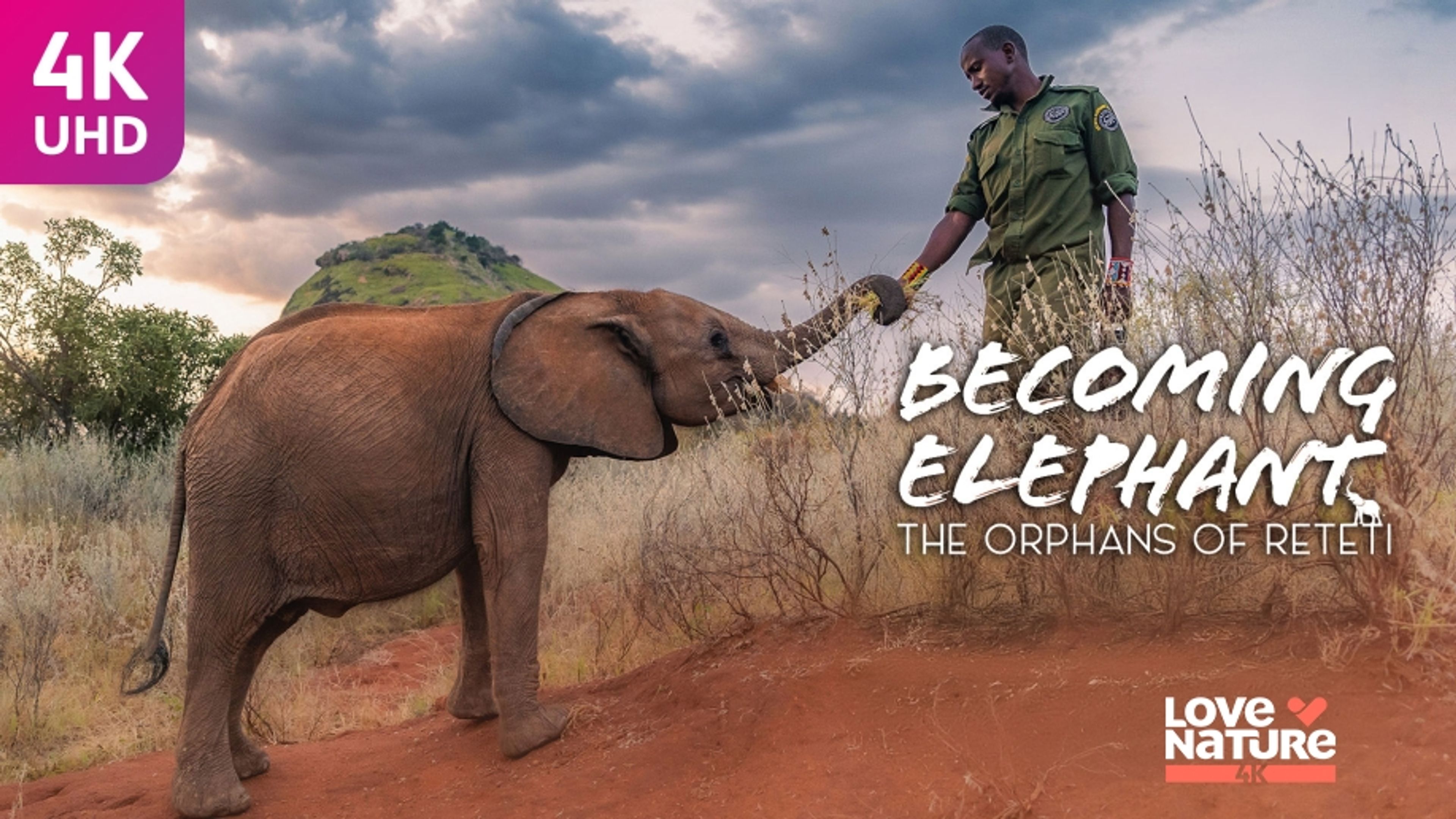 Becoming Elephant: The Orphans of Reteti