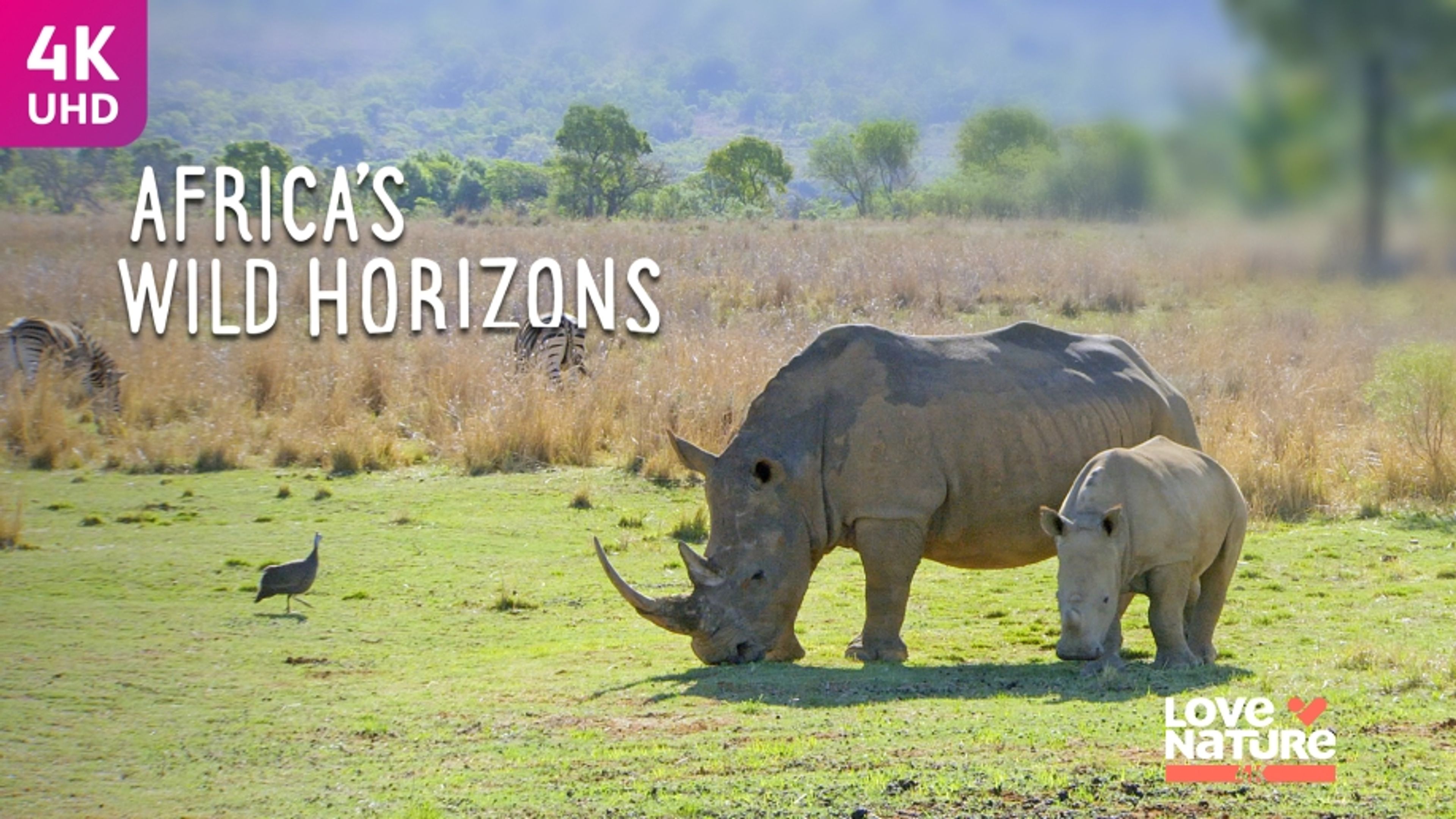 Africas Wild Horizons