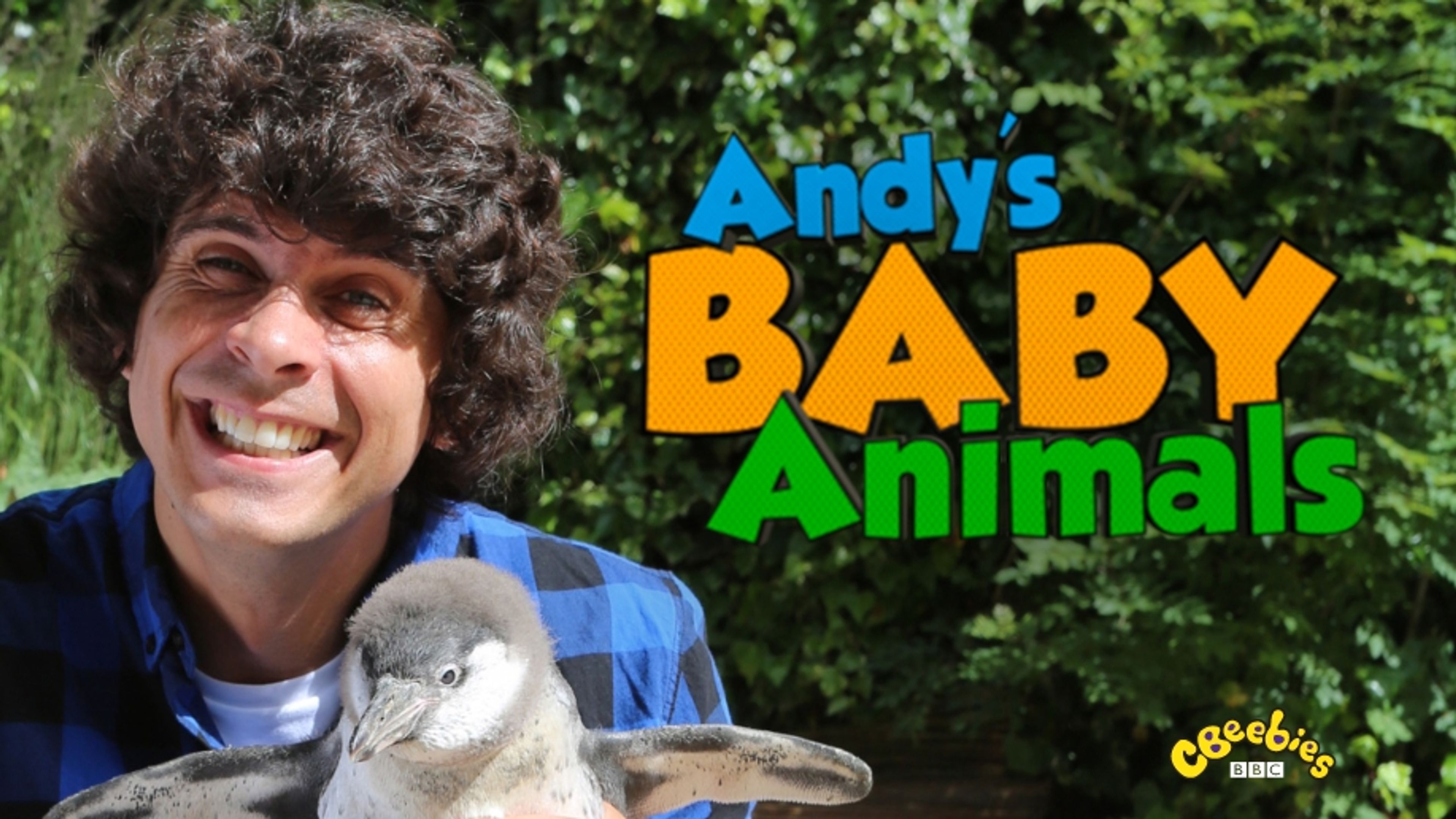Andy's Baby Animals