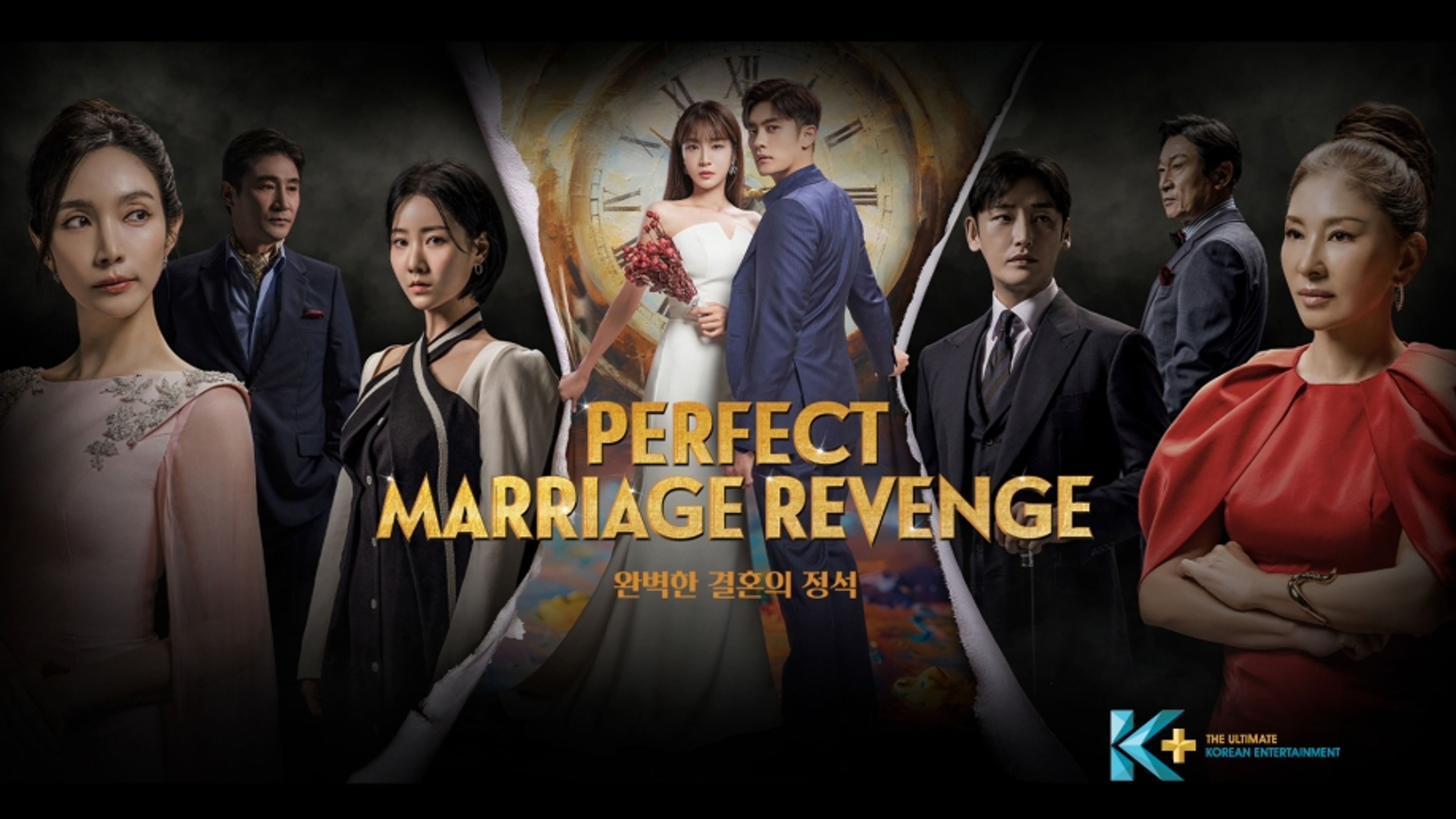 Perfect Marriage Revenge