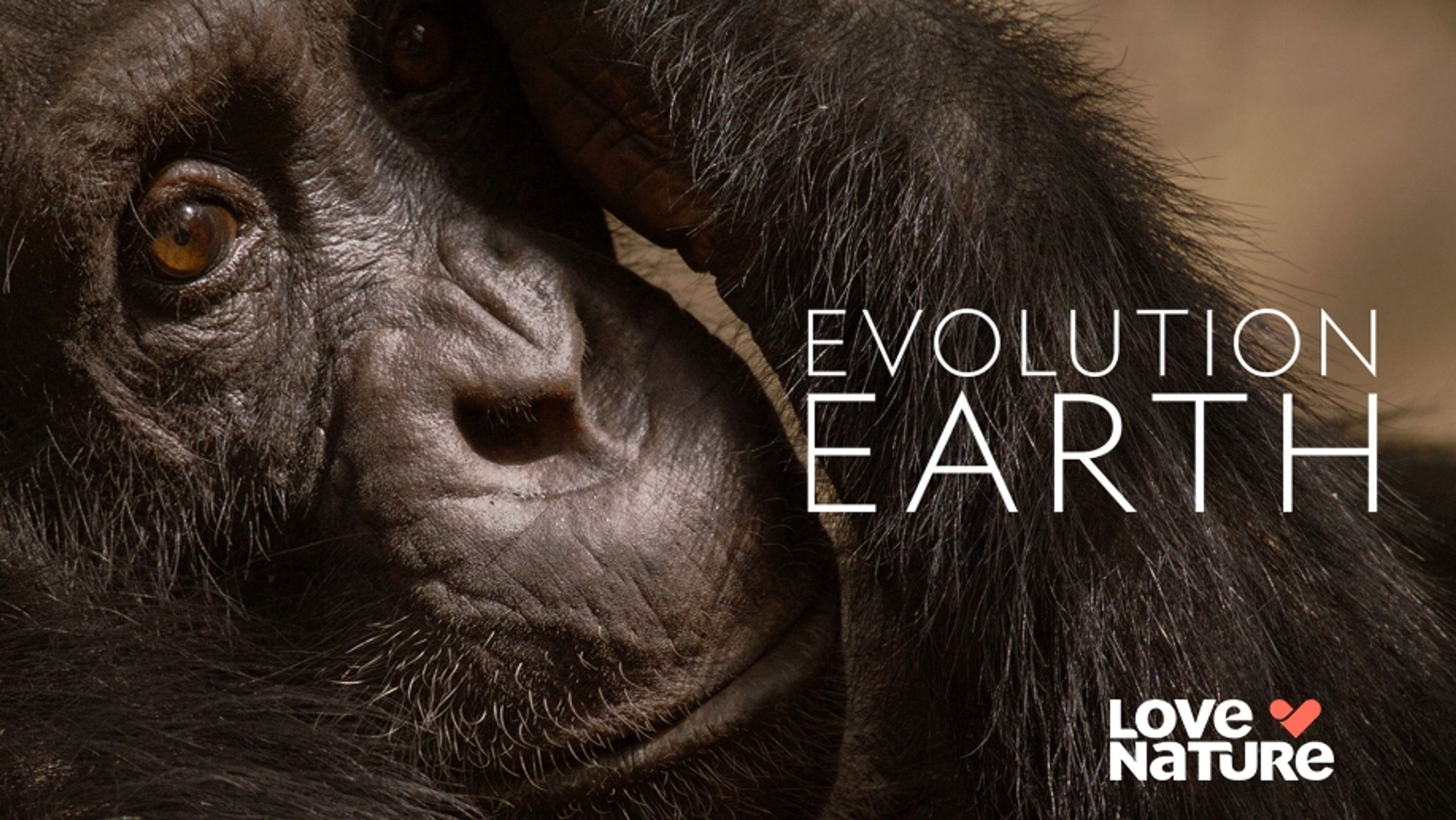 Evolution Earth