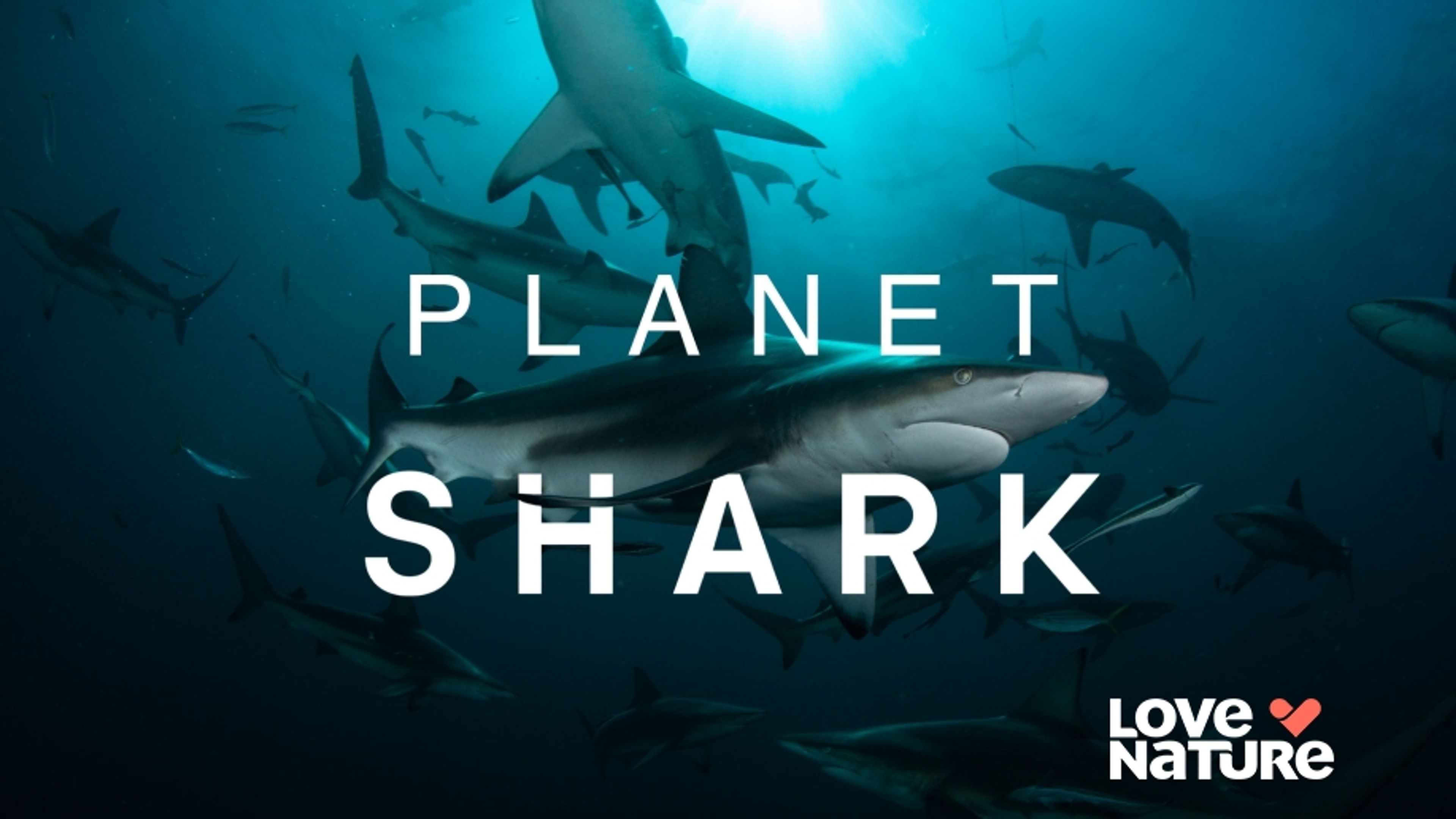 Planet Shark