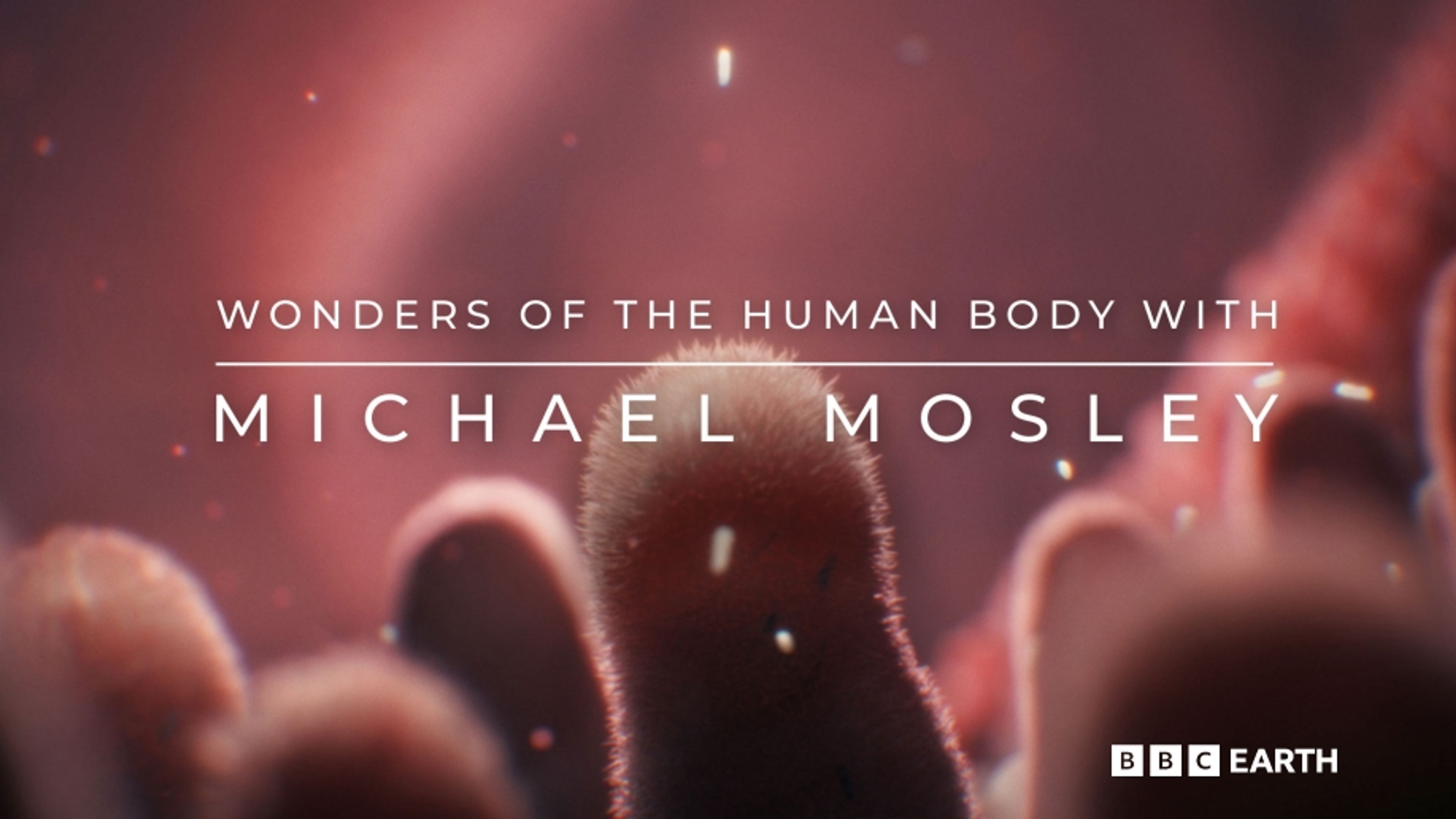 Wonders of the Human Body with Michael Mosley