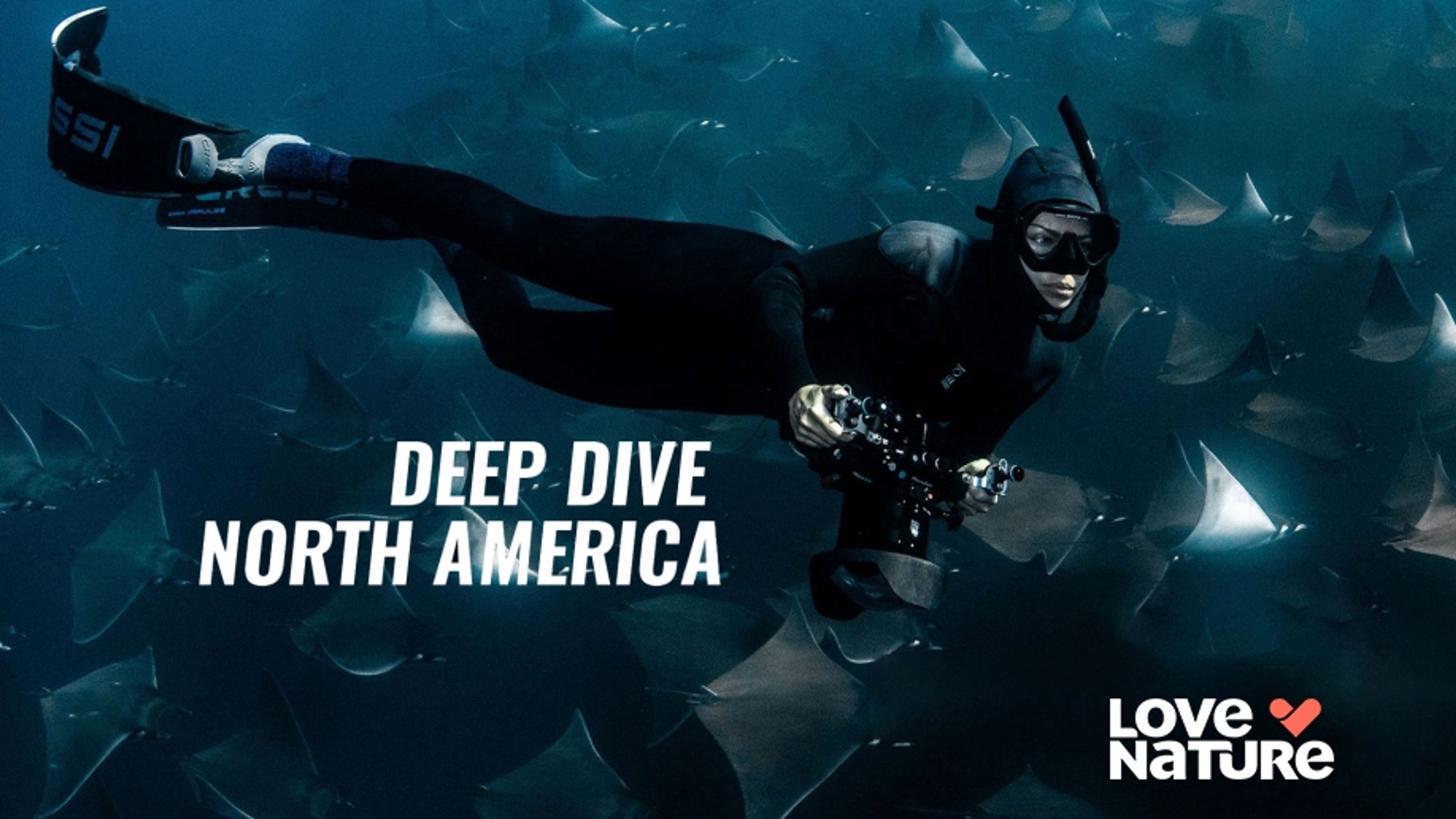 Deep Dive North America