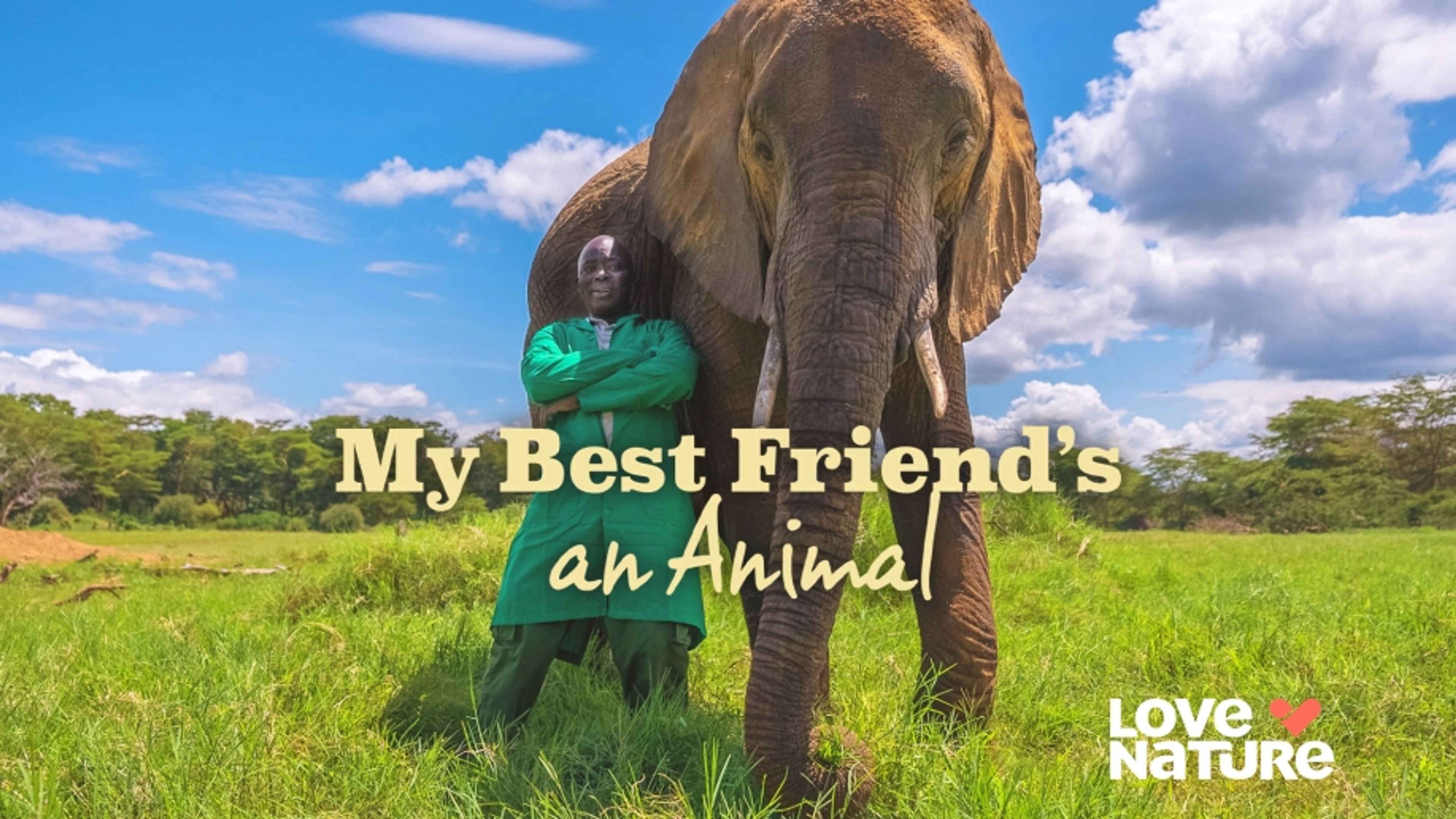 My Best Friend's An Animal