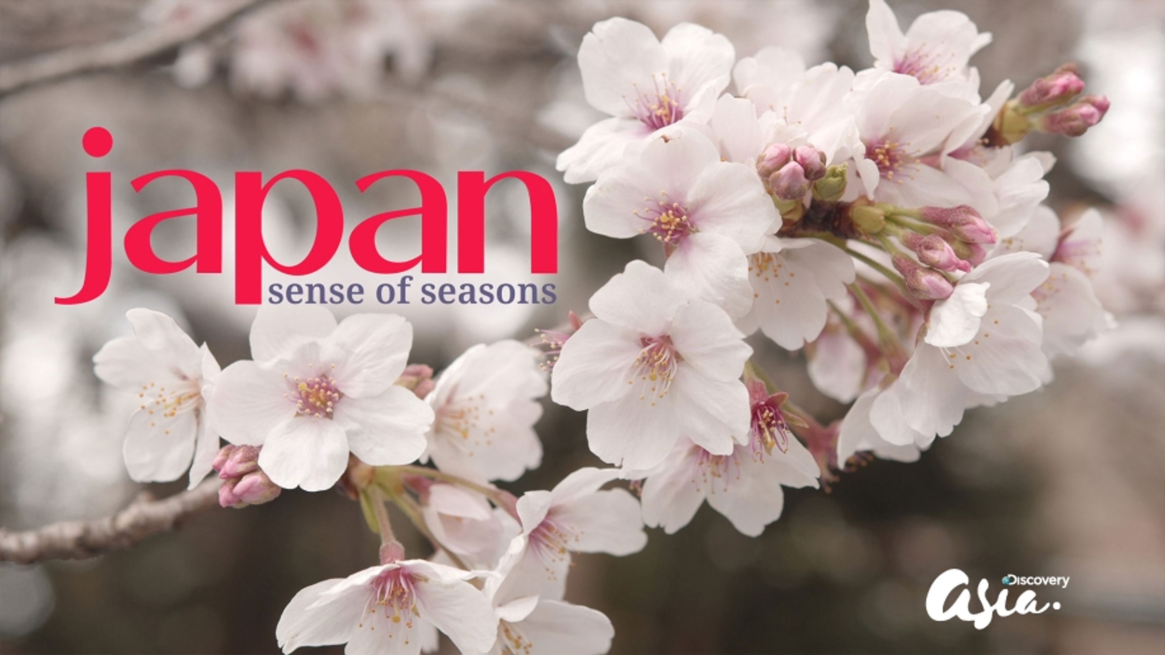 Japan: Sense Of Season